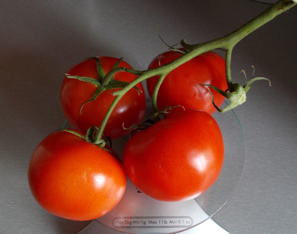 pomidorowa1
